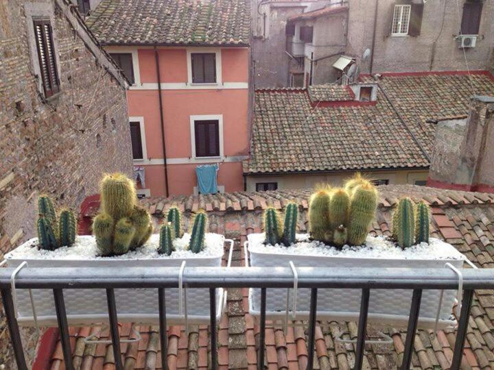Campo Dei Fiori Funny Flat Daire Roma Dış mekan fotoğraf